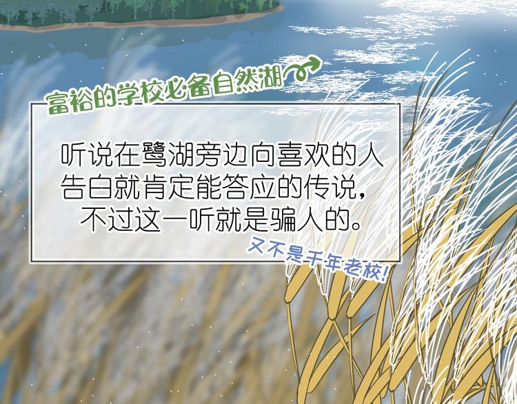 《毕竟我那么优秀》07、在树荫之下 第25页