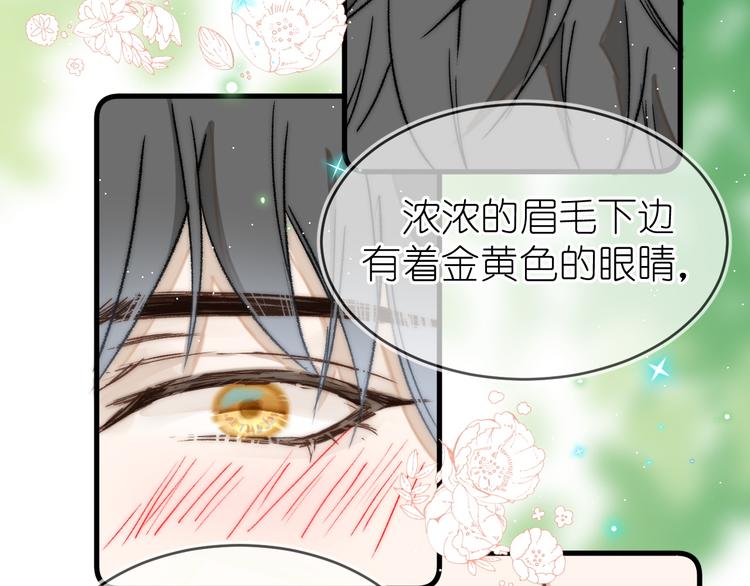 《毕竟我那么优秀》07、在树荫之下 第40页