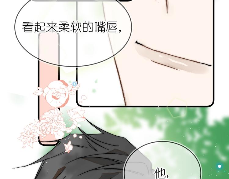 《毕竟我那么优秀》07、在树荫之下 第41页