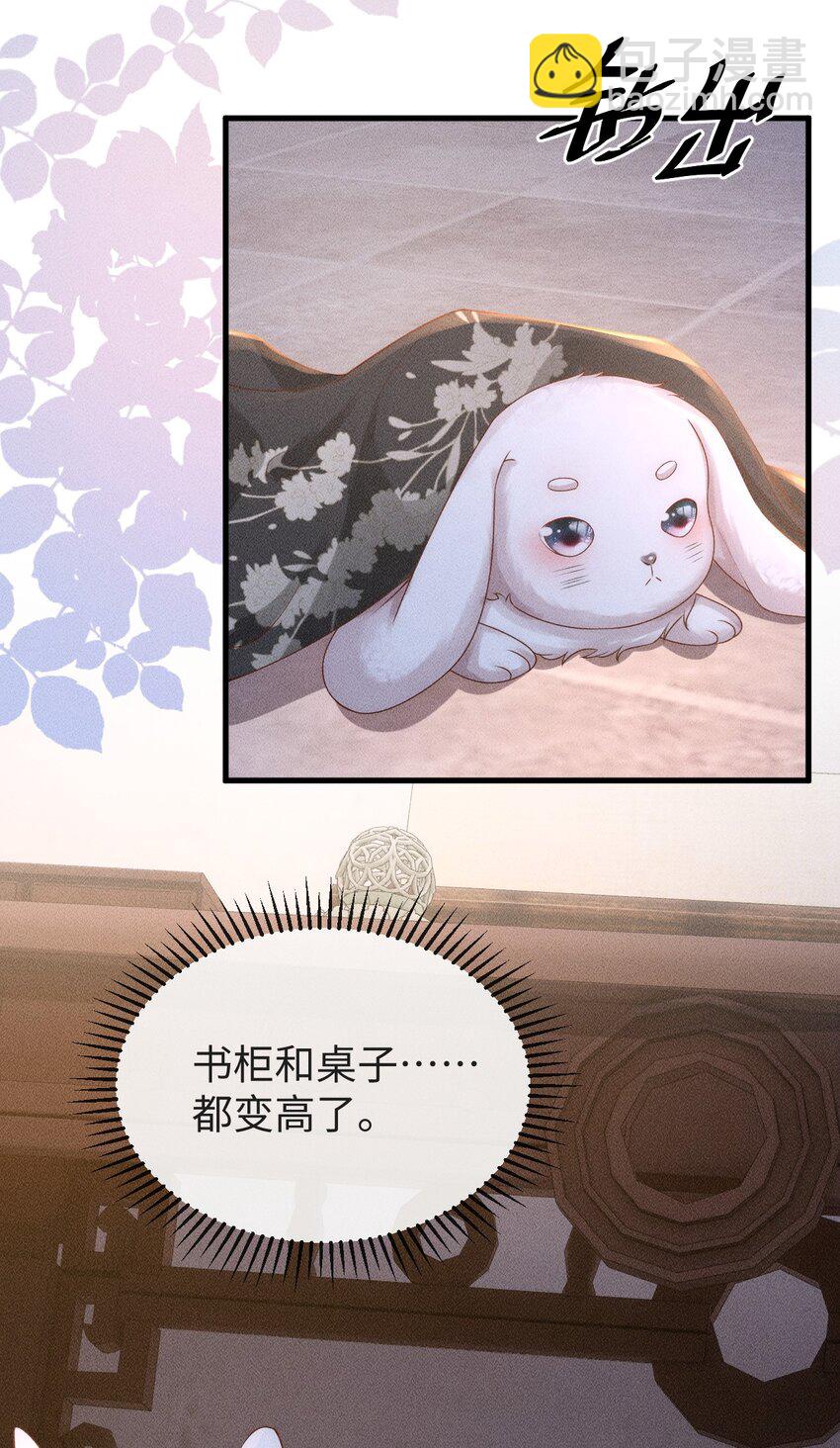 《夫人每天不一样》第三话 变成兔子了？！ 第39页