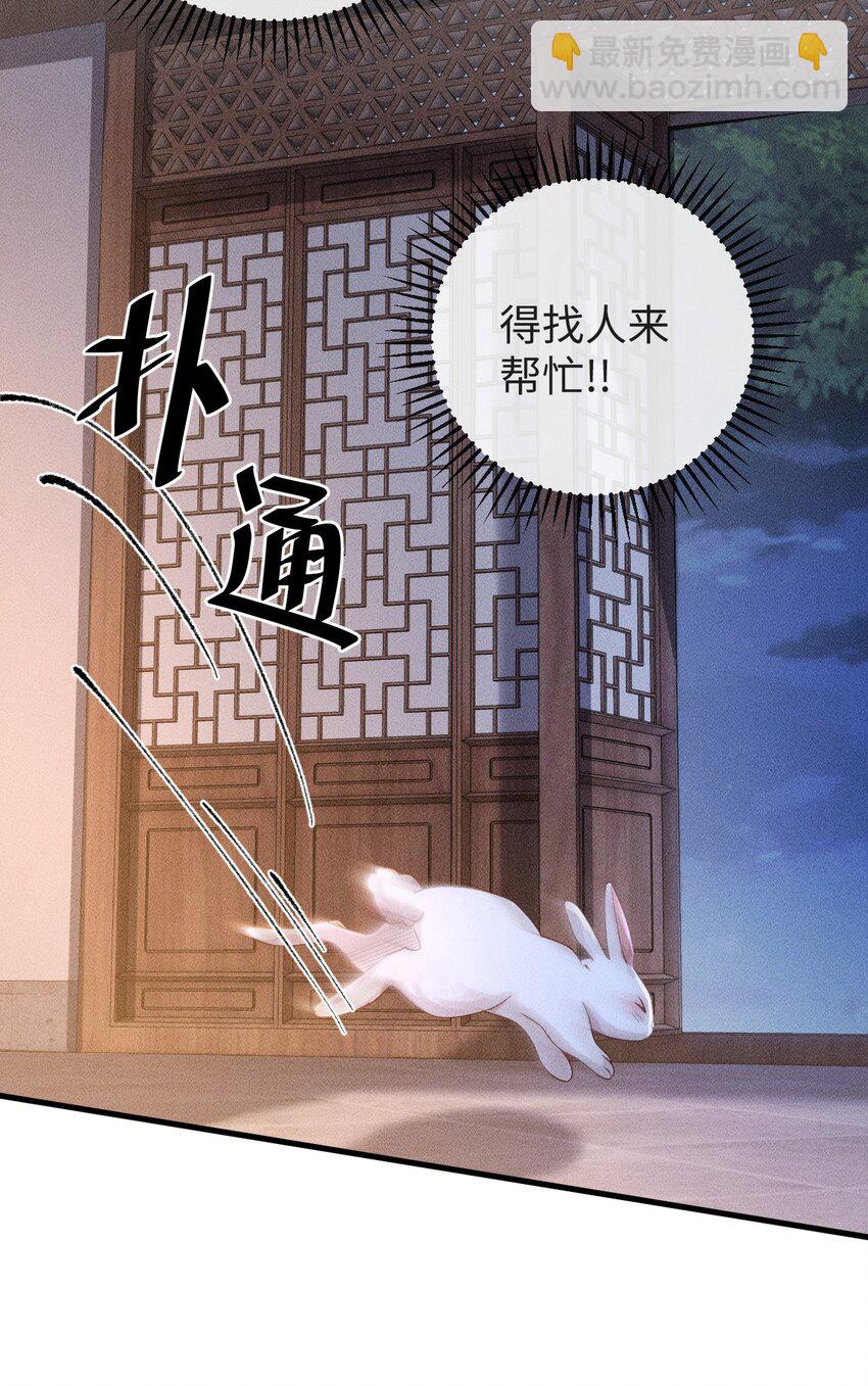 《夫人每天不一样》第三话 变成兔子了？！ 第43页