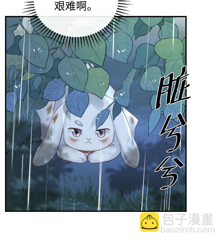 《夫人每天不一样》第四话 捡个可爱回家 第14页