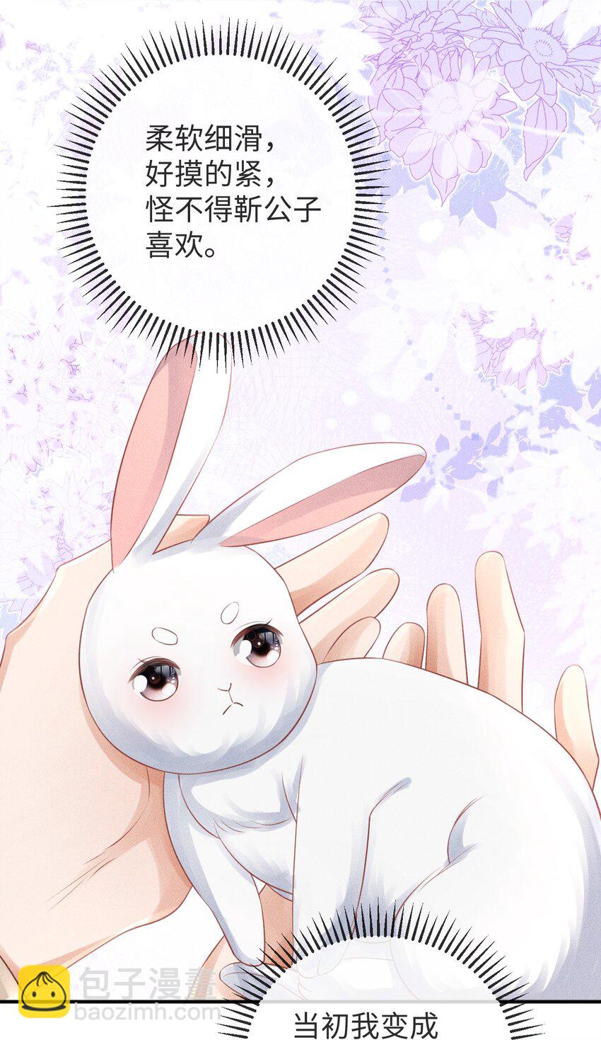 《夫人每天不一样》第18话 炖兔子？ 第20页