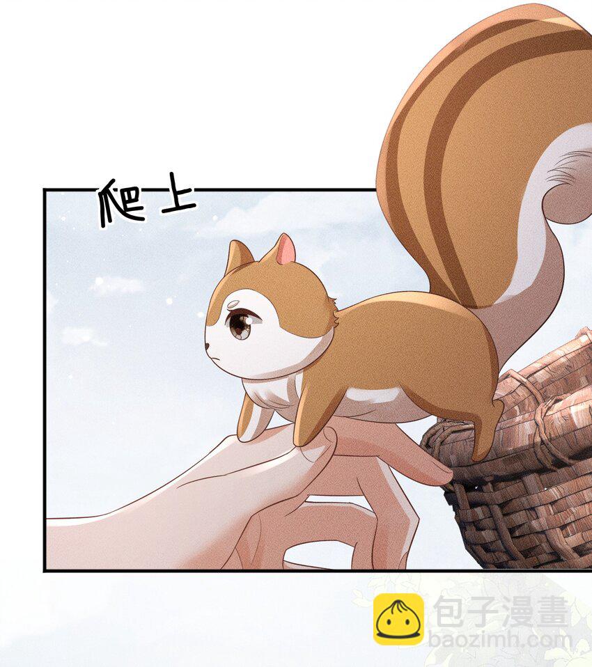 《夫人每天不一样》第18话 炖兔子？ 第43页