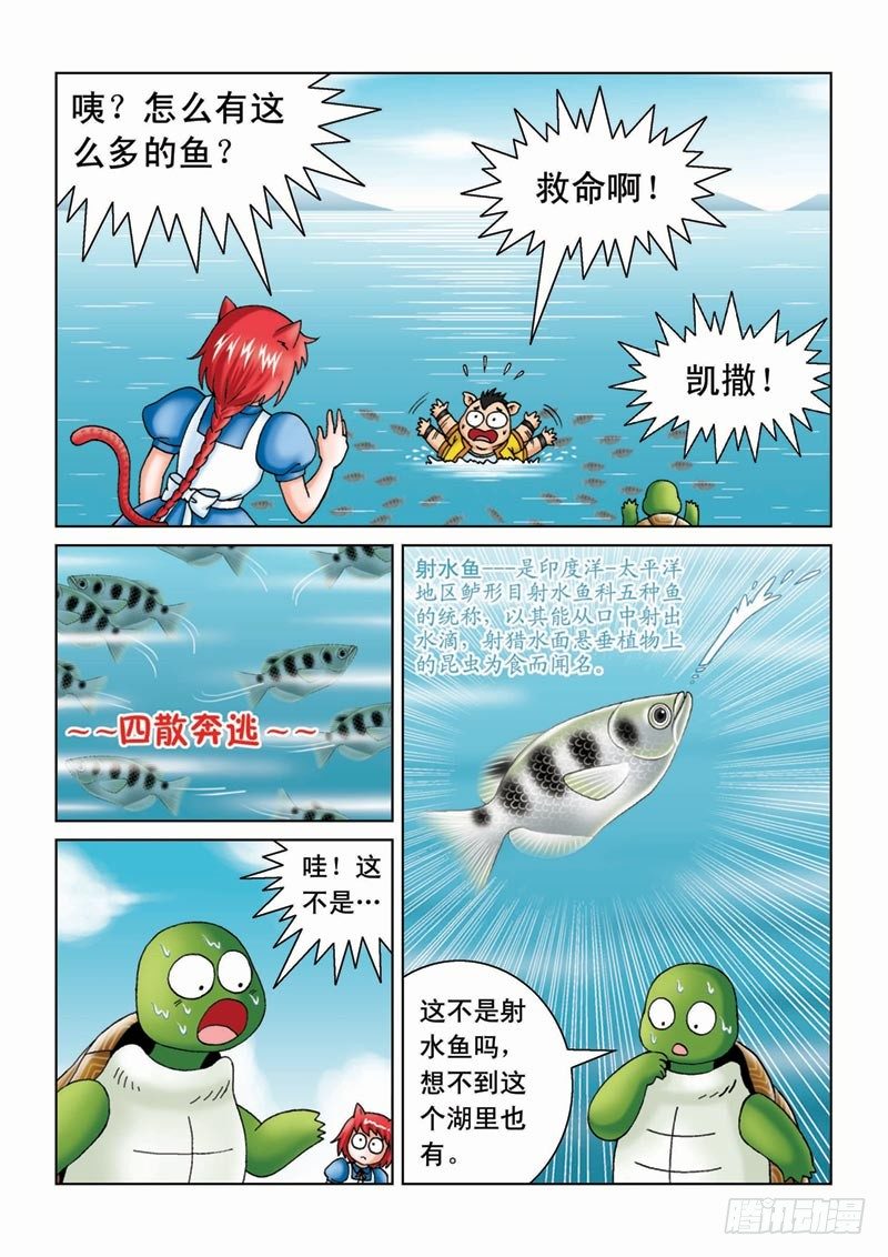 《女王的噩梦》07金猪银猪 第3页