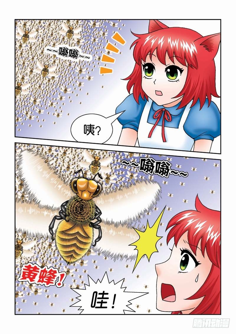 《女王的噩梦》19可怕的金花谷 第13页
