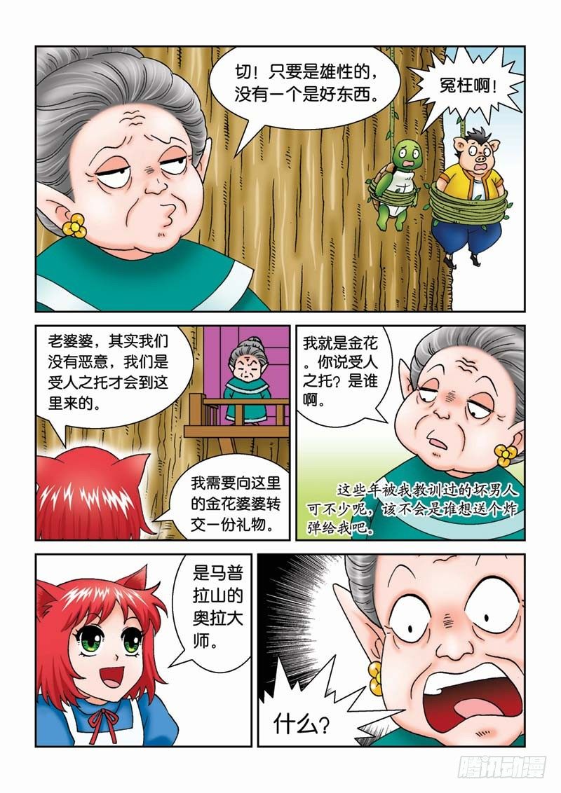 《女王的噩梦》20金花婆婆 第5页