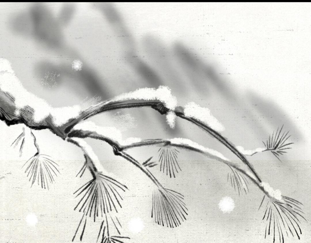 《汤团漫谈诗语》江雪 第6页
