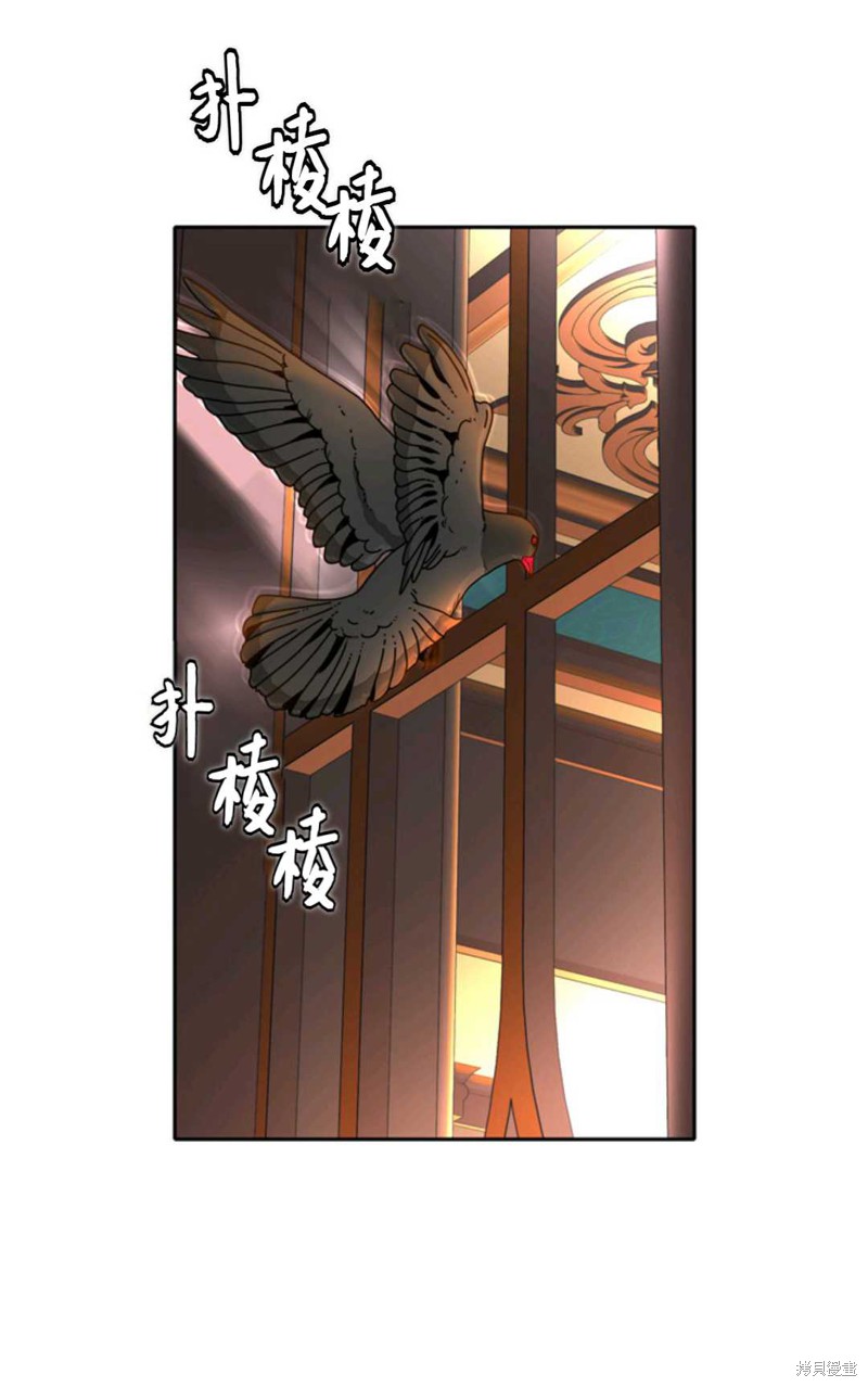 《虽然是杀手，但想试着作为公主活下去》第20话 第12页