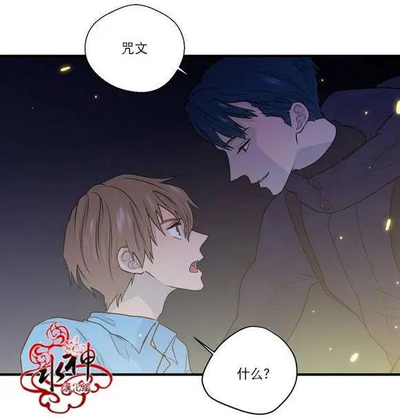 《都市夜月奇谈》第22回 第27页