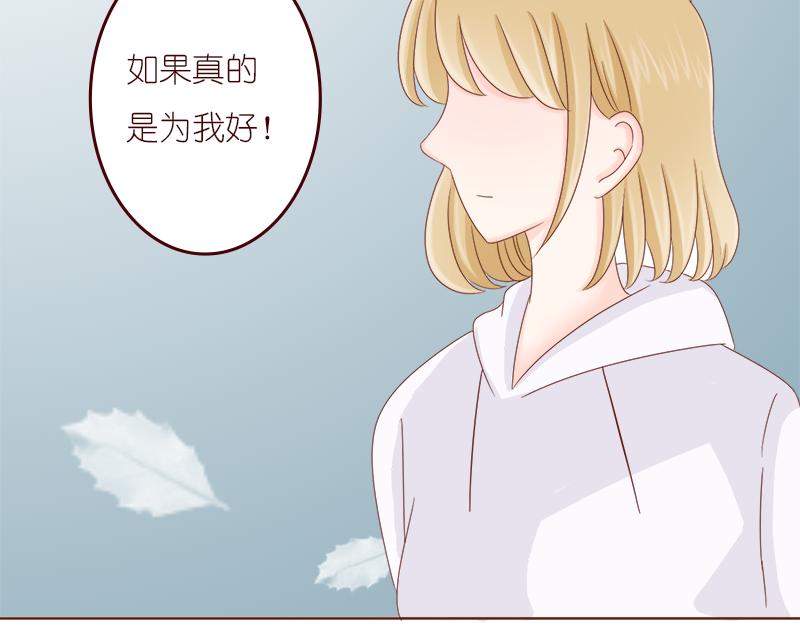 《少女的花语物语》婚姻对两人的意义 第43页
