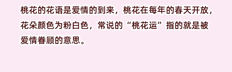 《少女的花语物语》再次相遇 第3页