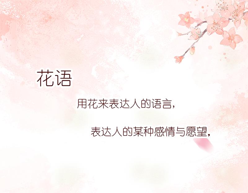 《少女的花语物语》开启少女的青春物语 第1页