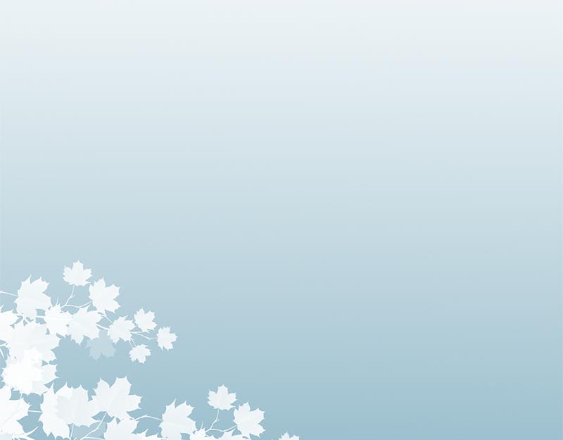 《少女的花语物语》偶遇不是偶然 第30页