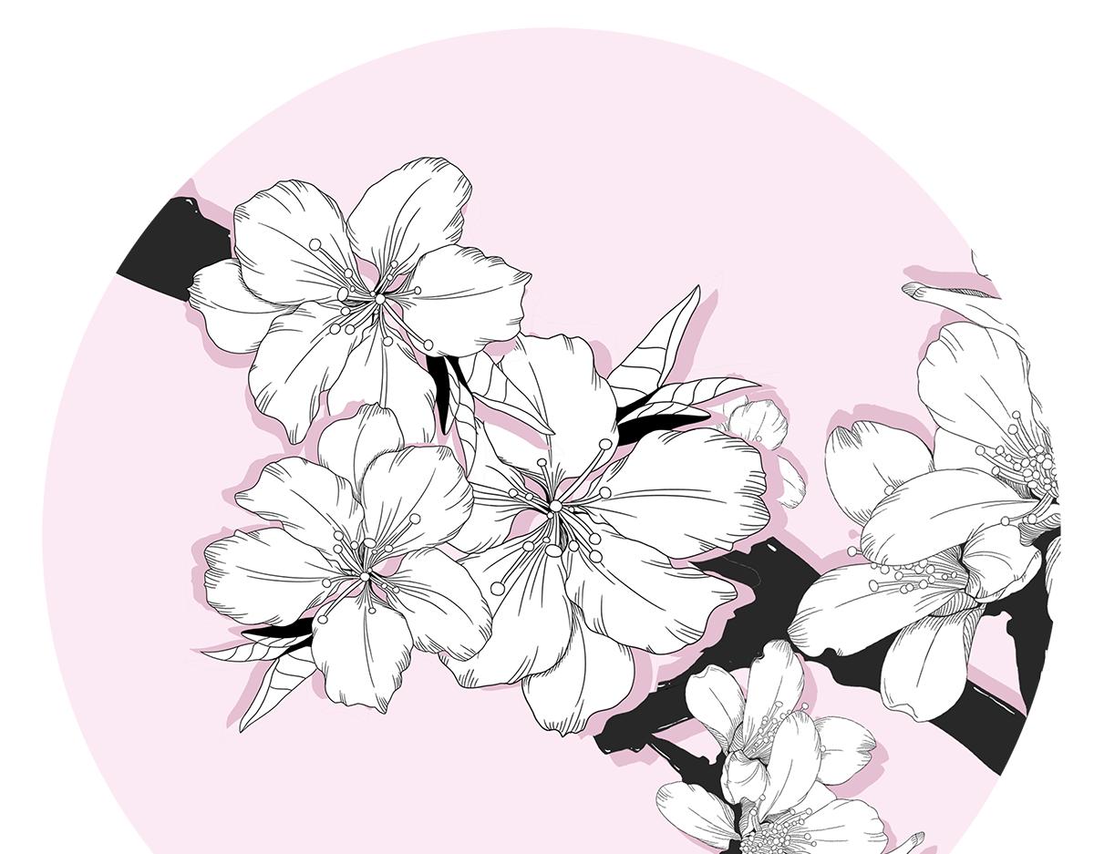 《少女的花语物语》桃花开了 第1页