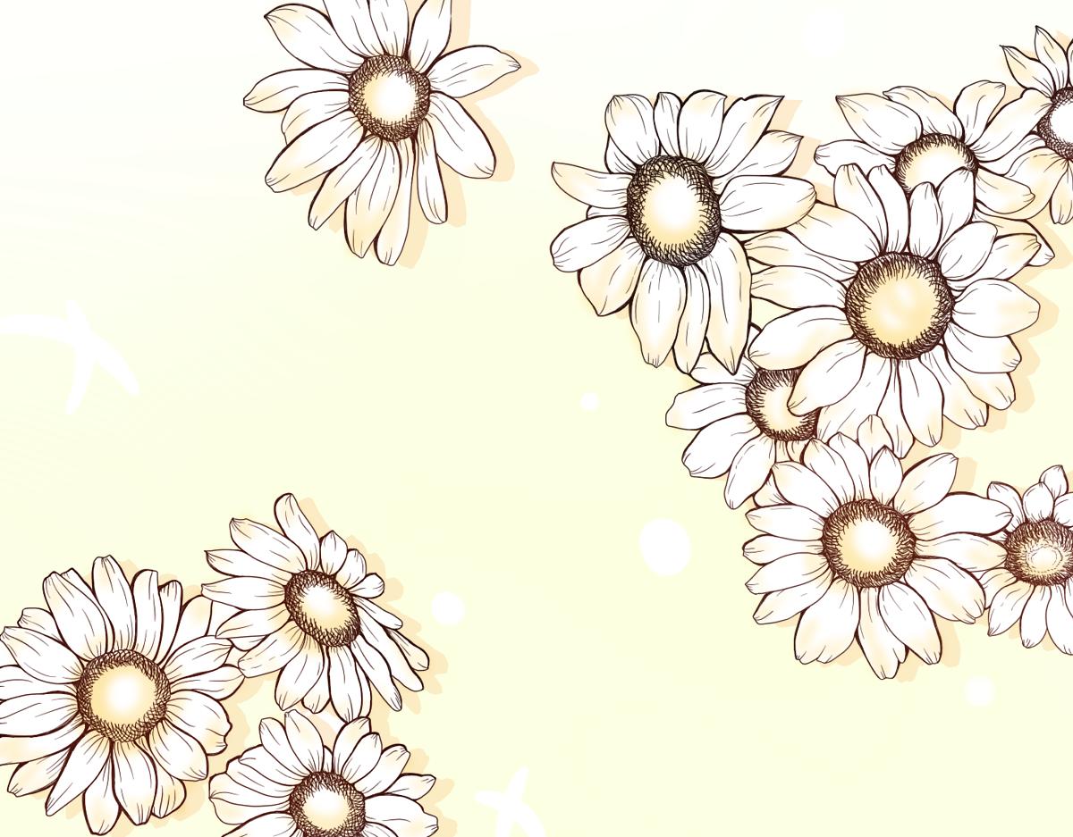 《少女的花语物语》关于四人的暗恋新故事 第3页