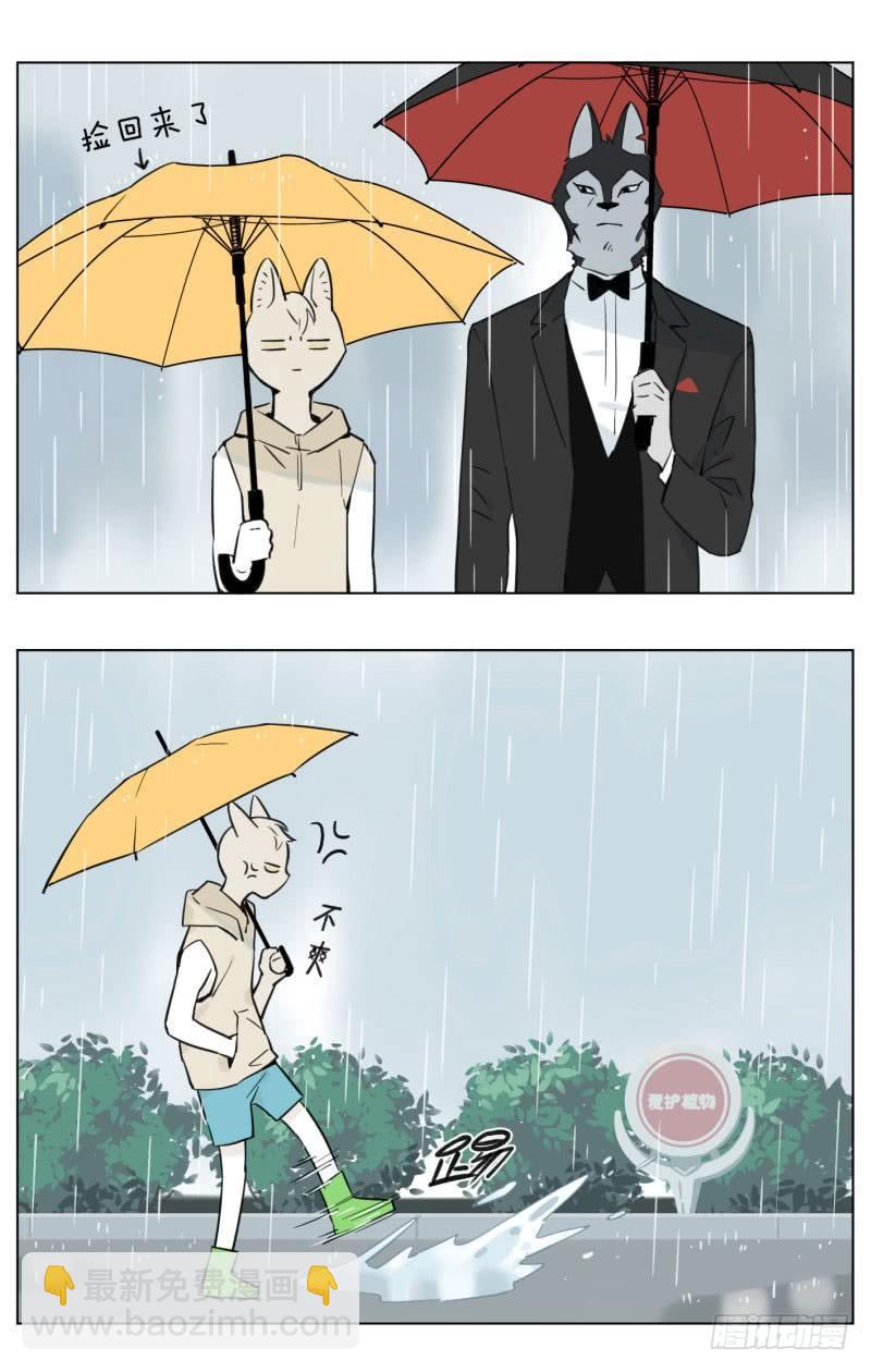 《狼仆和猫》雨天 第4页