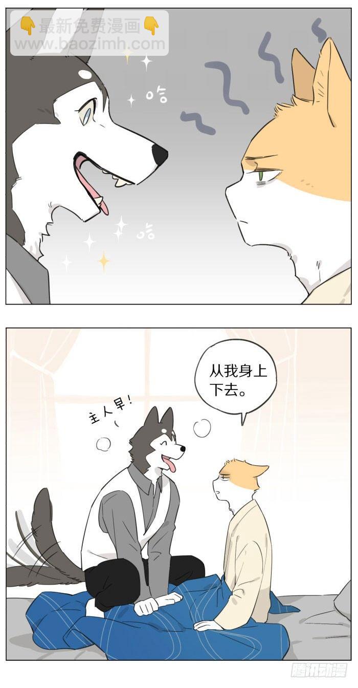 《狼仆和猫》主人和仆人 第3页