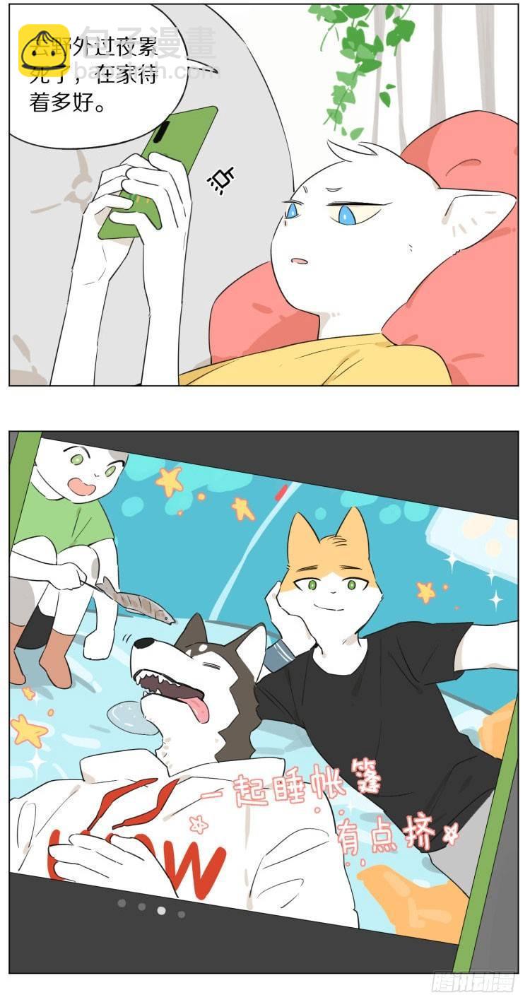 《狼仆和猫》露营 第2页