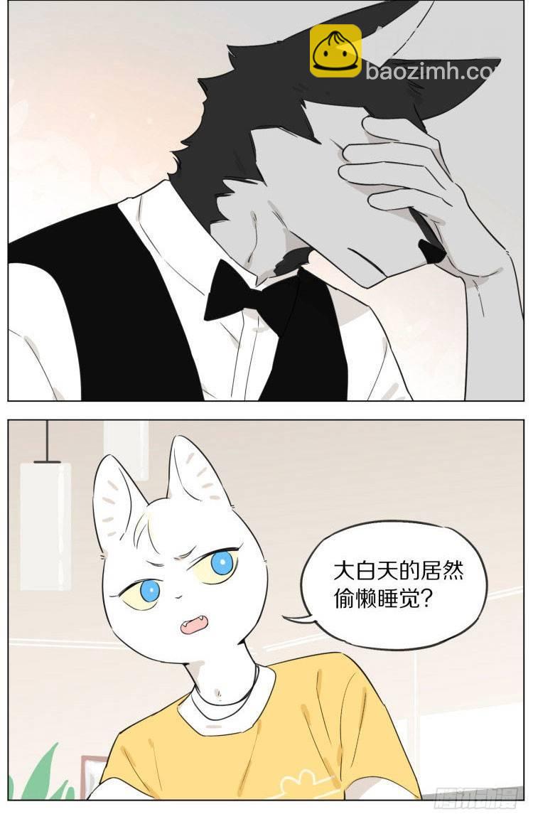 《狼仆和猫》写作业 第7页