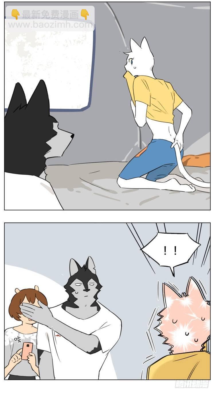 《狼仆和猫》露营2 第4页