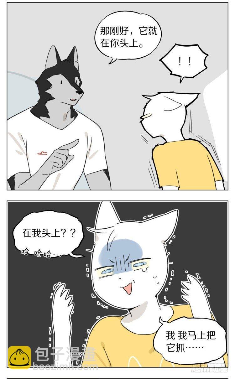 《狼仆和猫》露营2 第8页