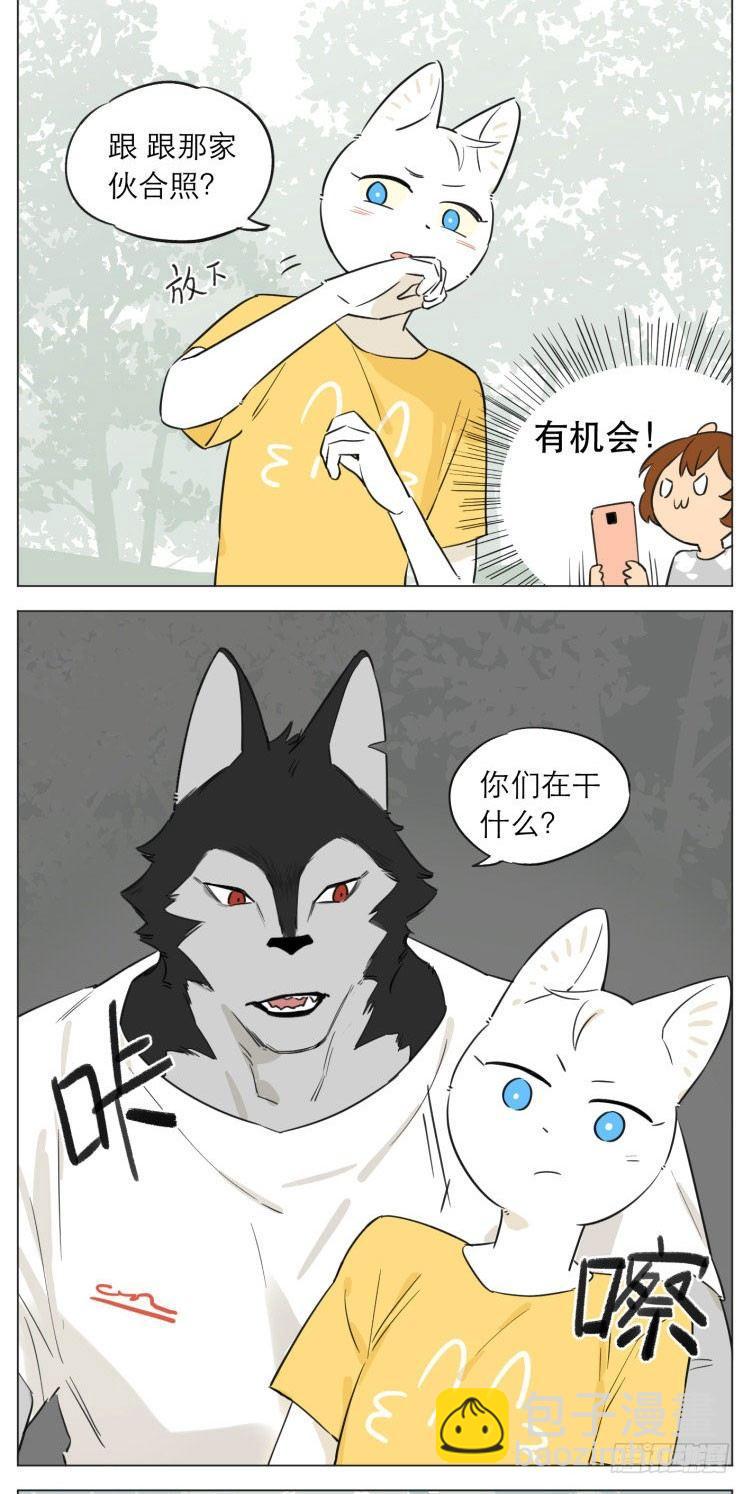 《狼仆和猫》露营3 第7页