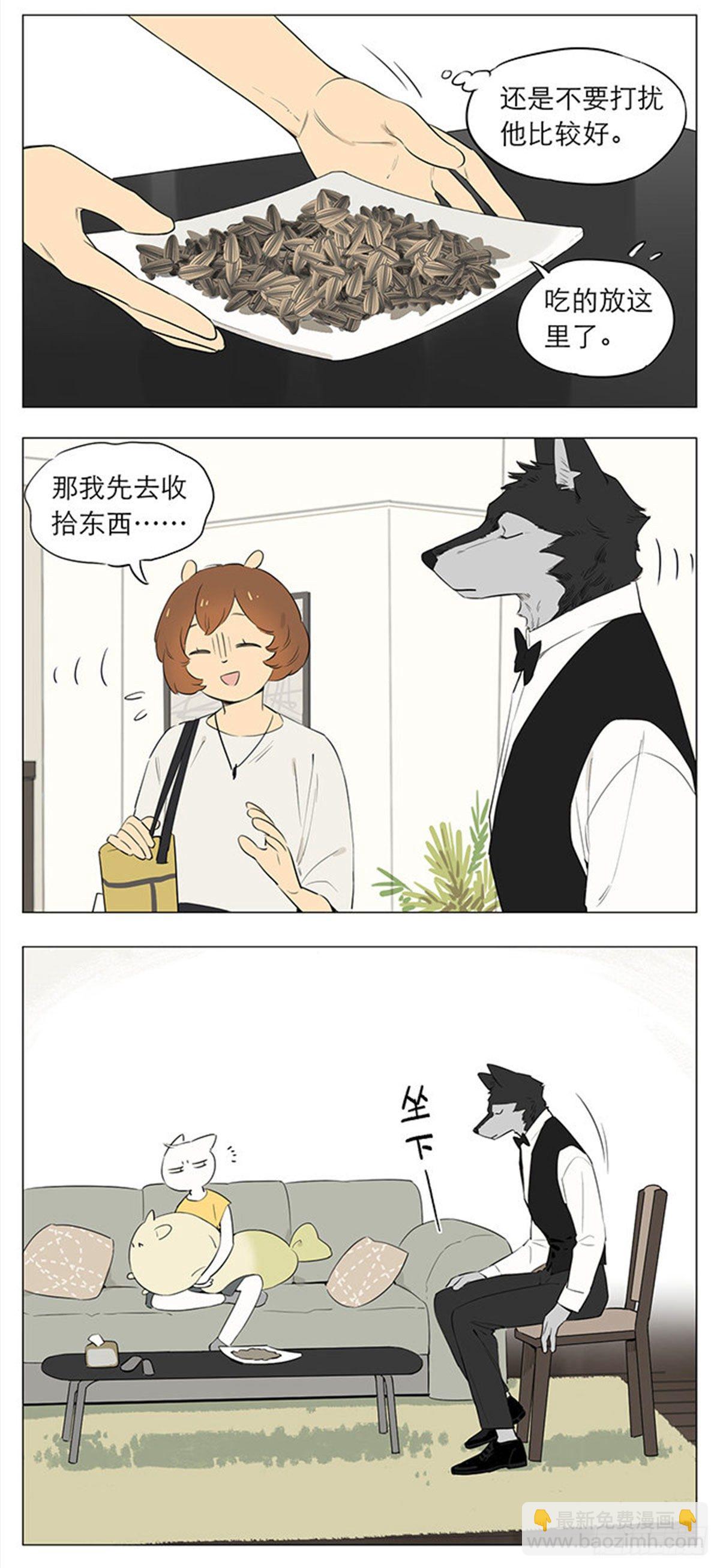 《狼仆和猫》回来啦 第3页