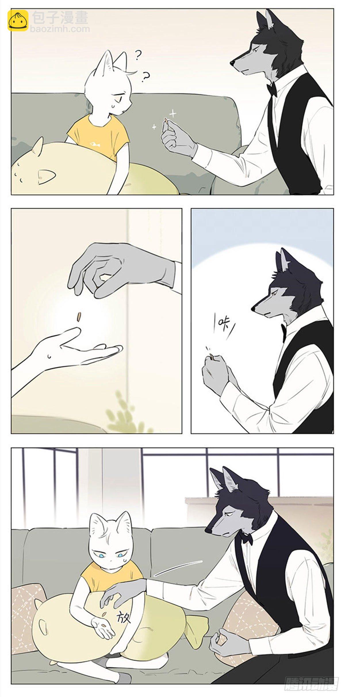 《狼仆和猫》回来啦 第6页