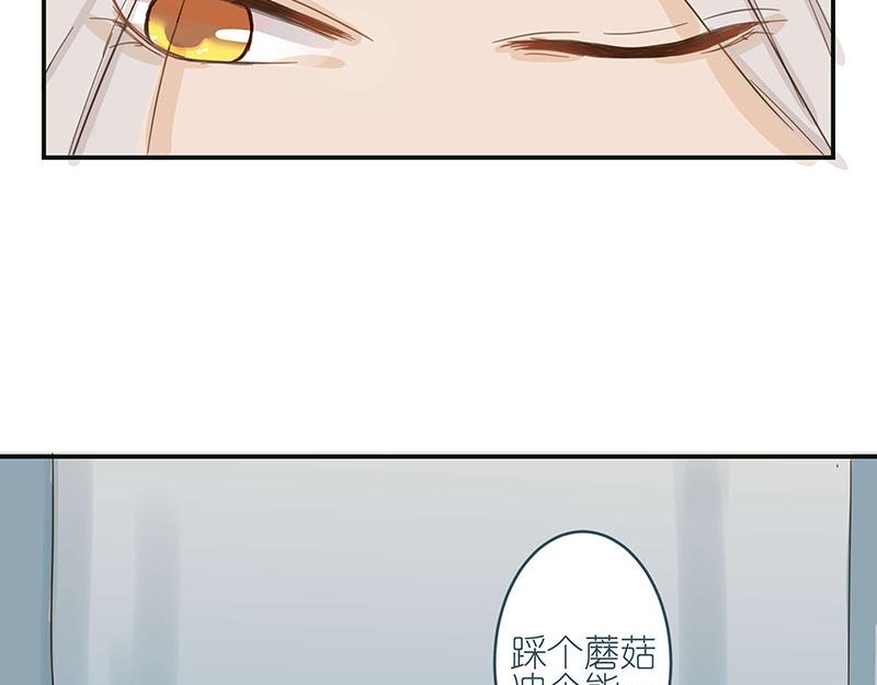 《神明的仔》第1章 假寐的神明 第37页