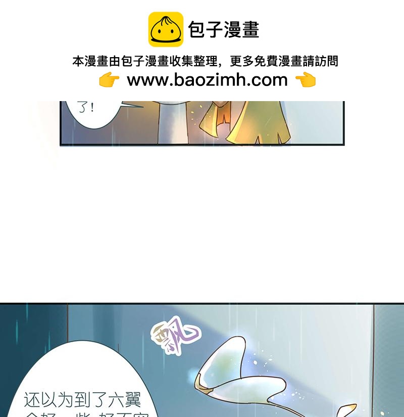 《神明的仔》第1章 假寐的神明 第5页