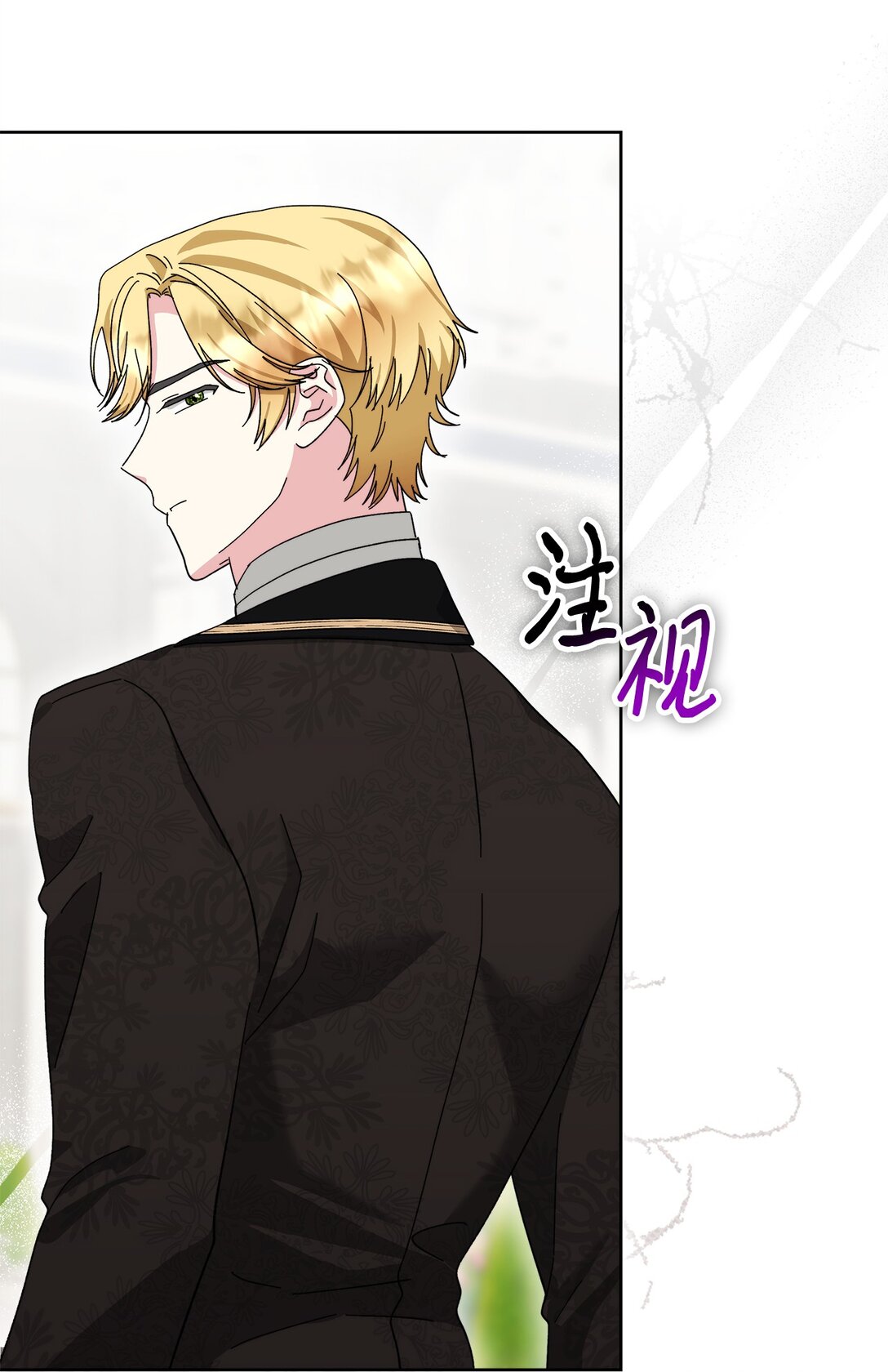 《我丈夫的前妻回来了》12 被冷落的皇子 第33页
