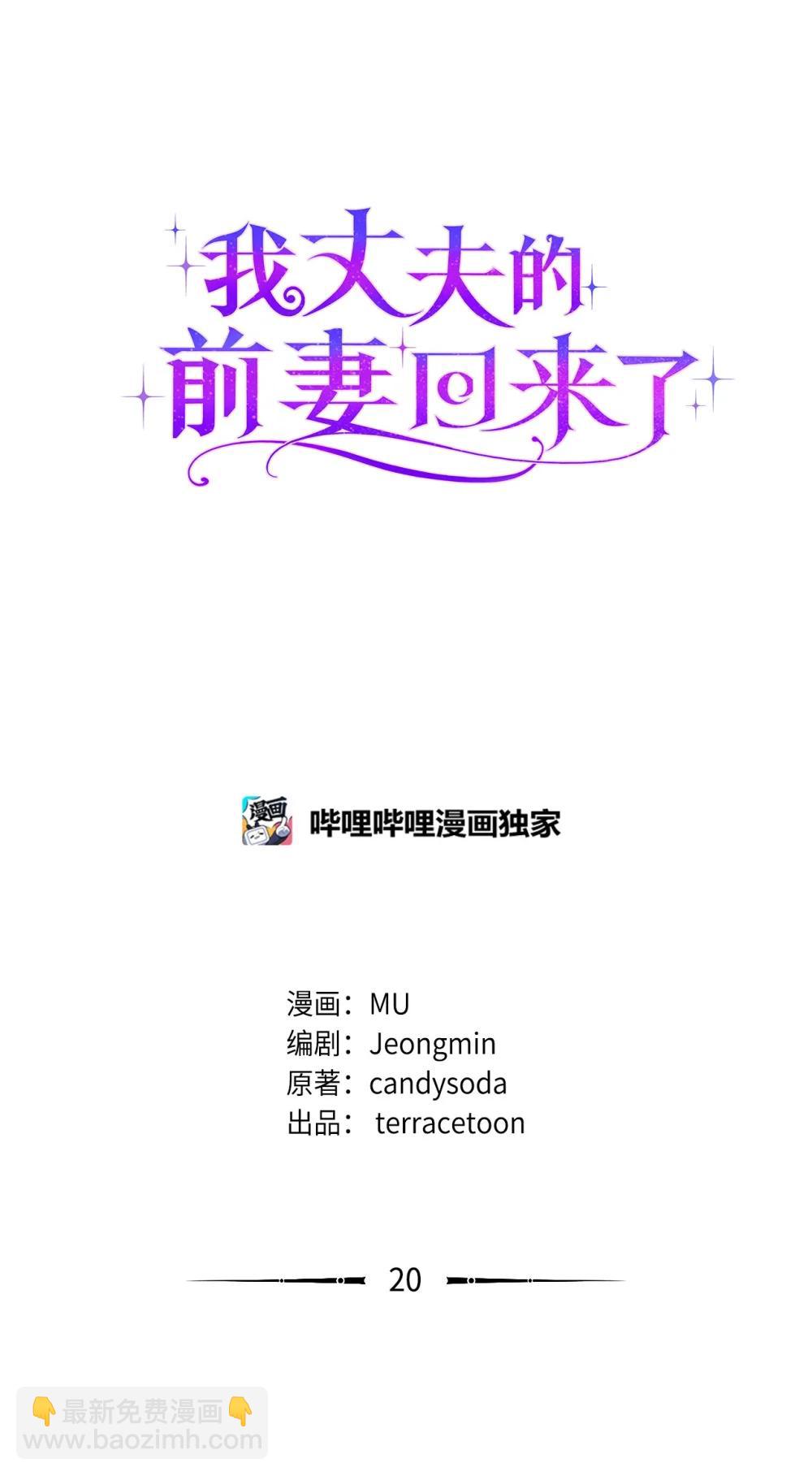 《我丈夫的前妻回来了》20 戳穿假面 第17页
