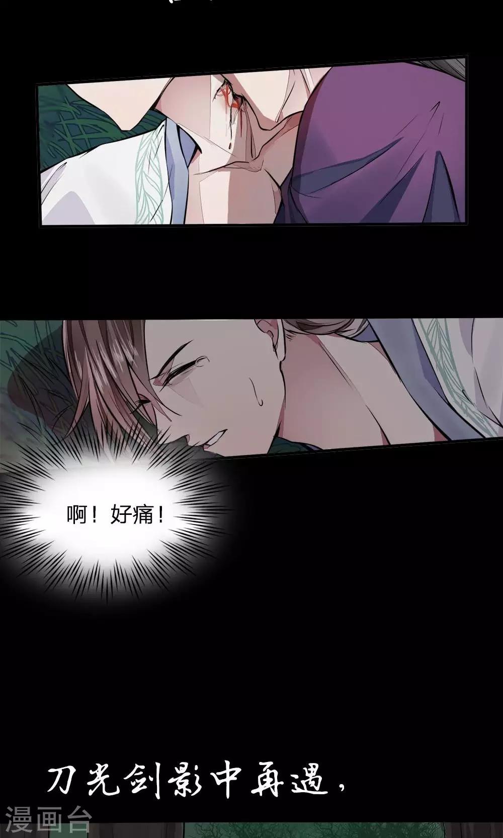 《拱手河山为君倾》预告 第17页