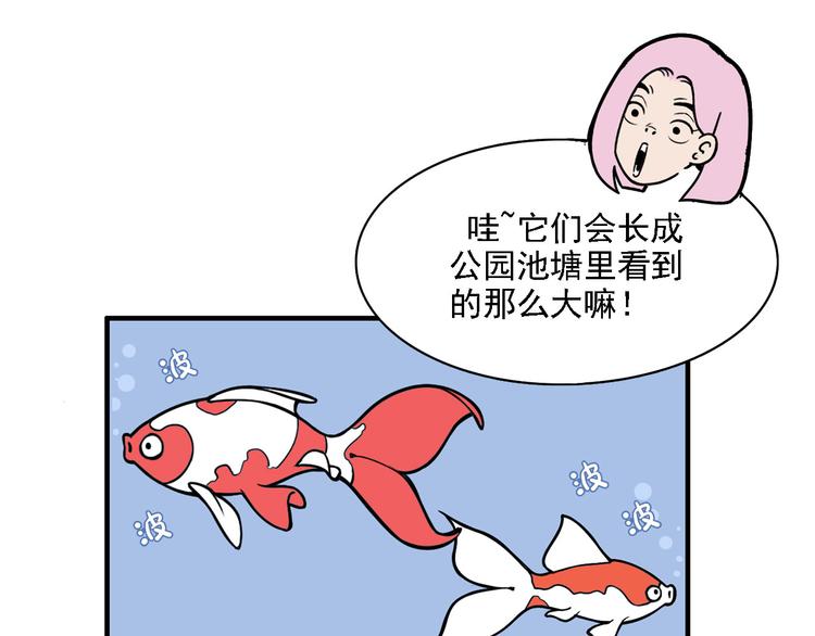 《耐撕房东》第2碗 锦鲤 第15页