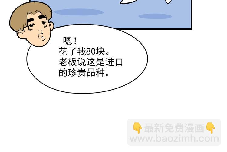 《耐撕房东》第2碗 锦鲤 第16页