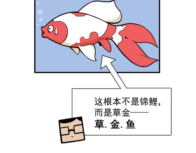 《耐撕房东》第2碗 锦鲤 第25页