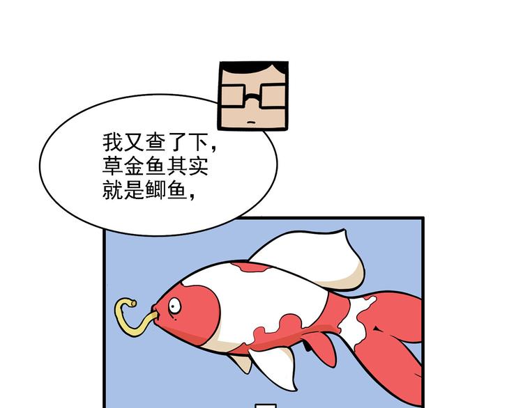 《耐撕房东》第2碗 锦鲤 第35页