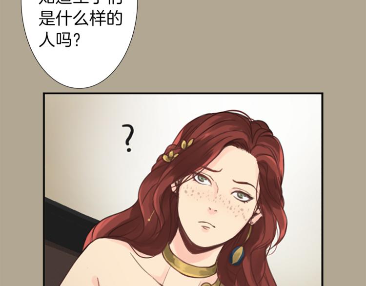 《丝绸与荆棘被诅咒的王子》第1话 政治联姻 第41页