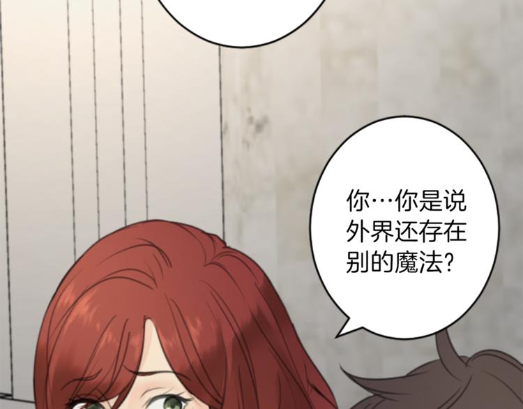 《丝绸与荆棘被诅咒的王子》第34话 污蔑 第14页