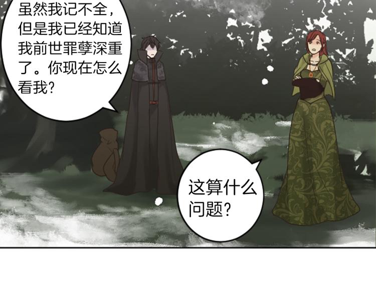 《丝绸与荆棘被诅咒的王子》第43话 不再是夫妇 第41页