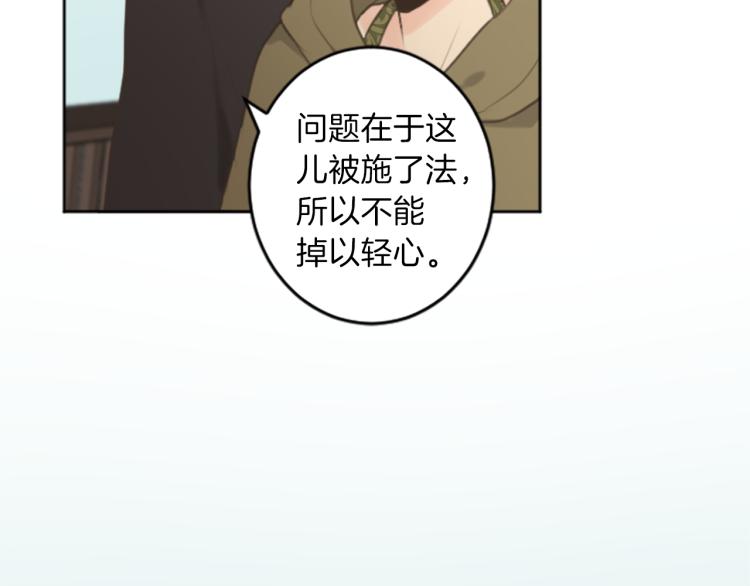 《丝绸与荆棘被诅咒的王子》第45话 窥见诺尔 第28页