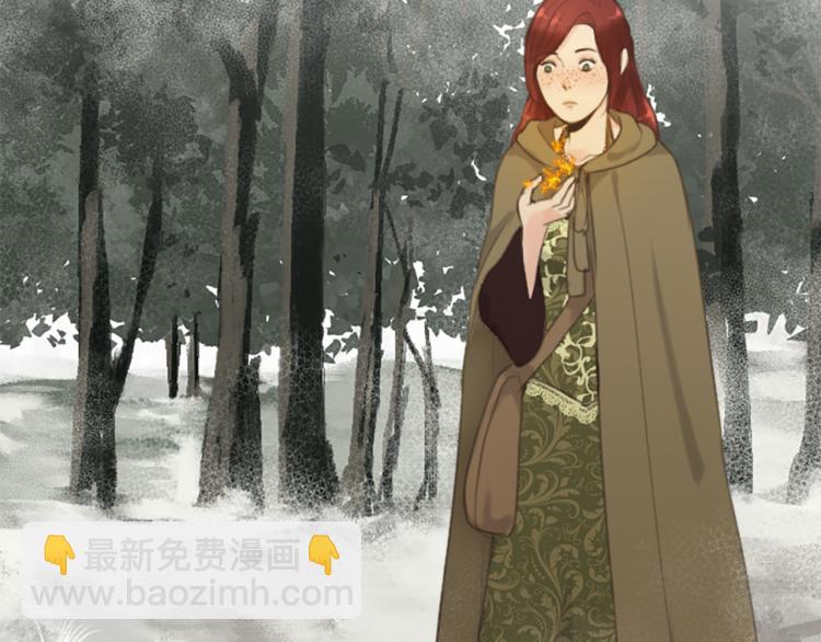 《丝绸与荆棘被诅咒的王子》第45话 窥见诺尔 第7页
