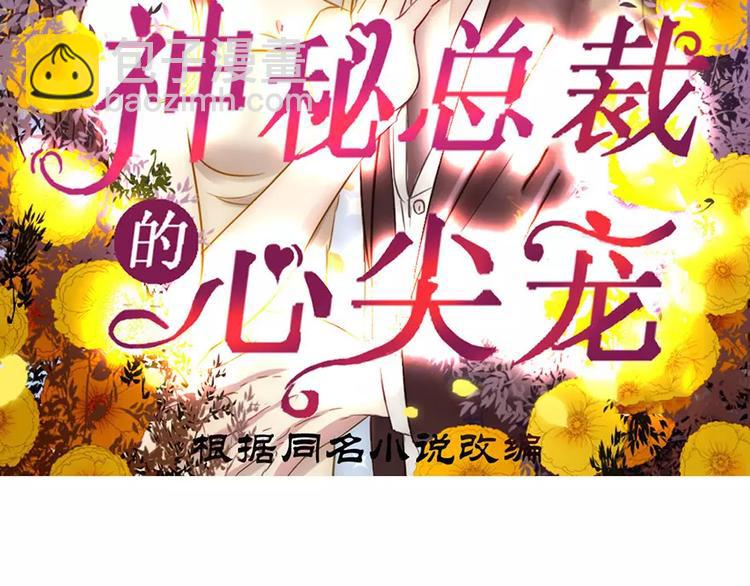 《神秘总裁的心尖宠》第1话 暴雨中的相遇 第2页
