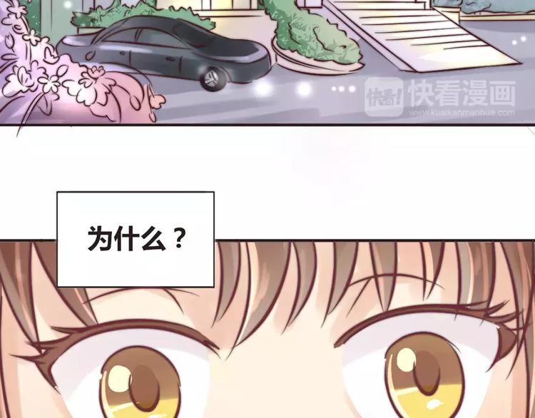 《神秘总裁的心尖宠》第9话 像噩梦一样 第17页