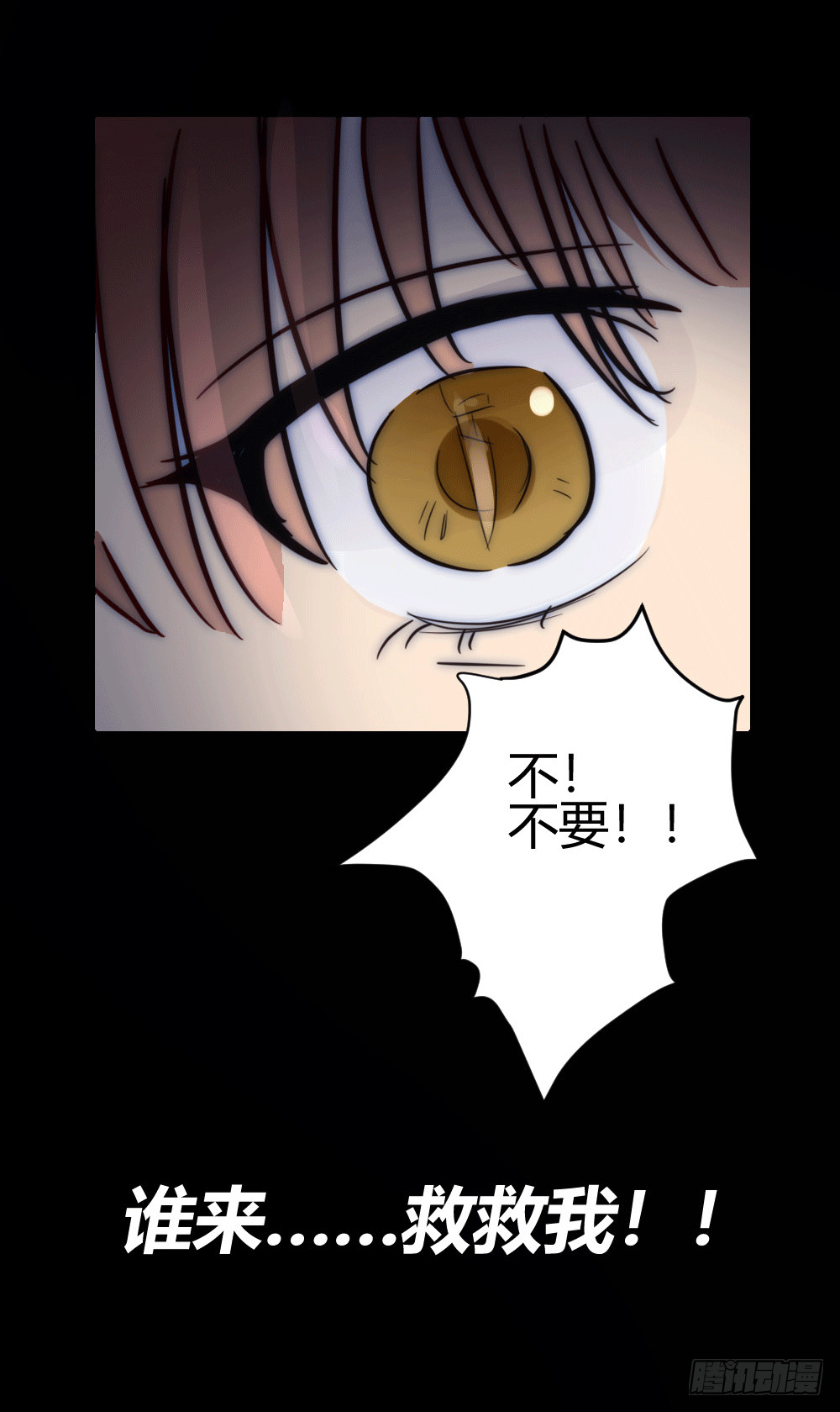 《神秘总裁的心尖宠》叶已深，你为什么要杀我 第3页