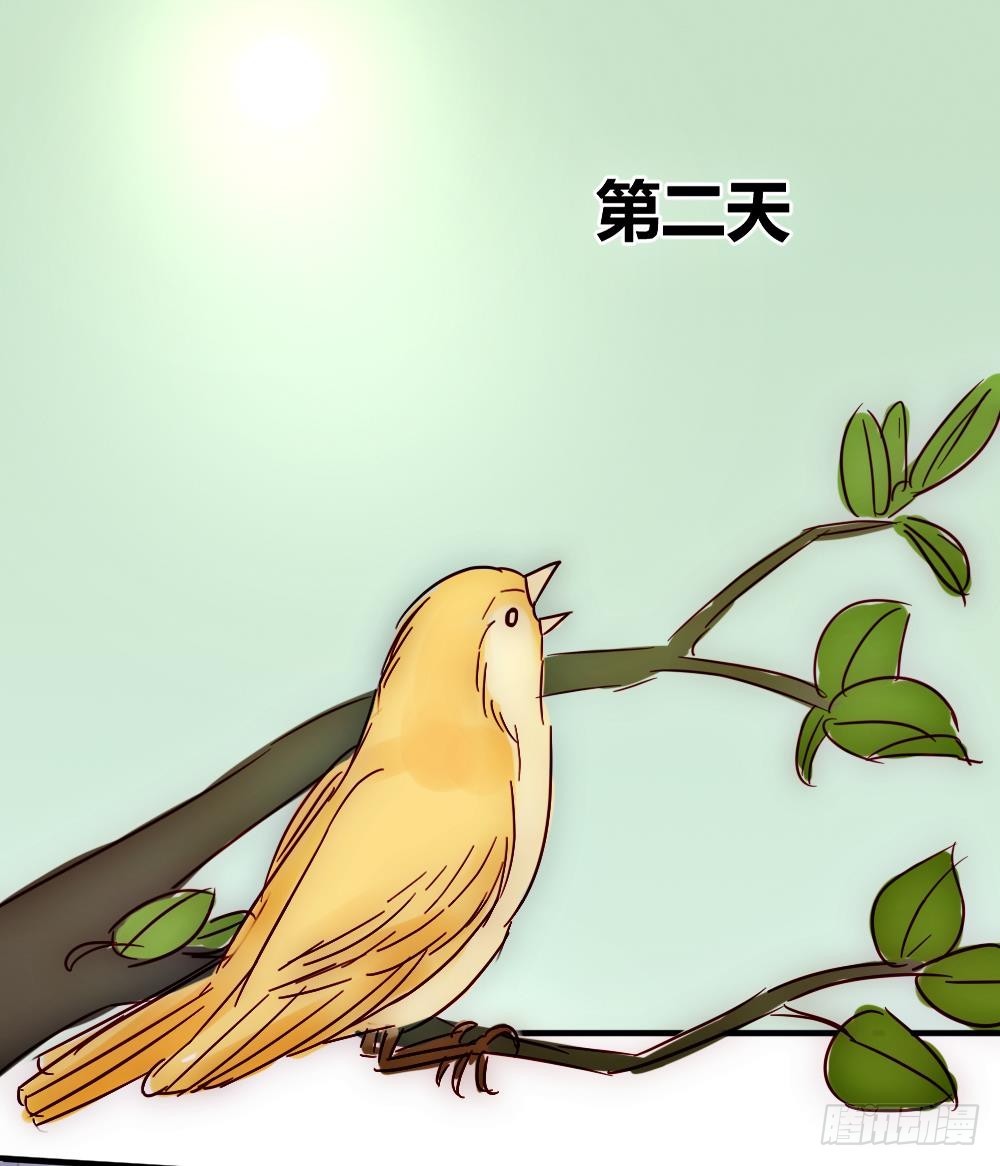 《神秘总裁的心尖宠》路上遇到抢劫 第17页