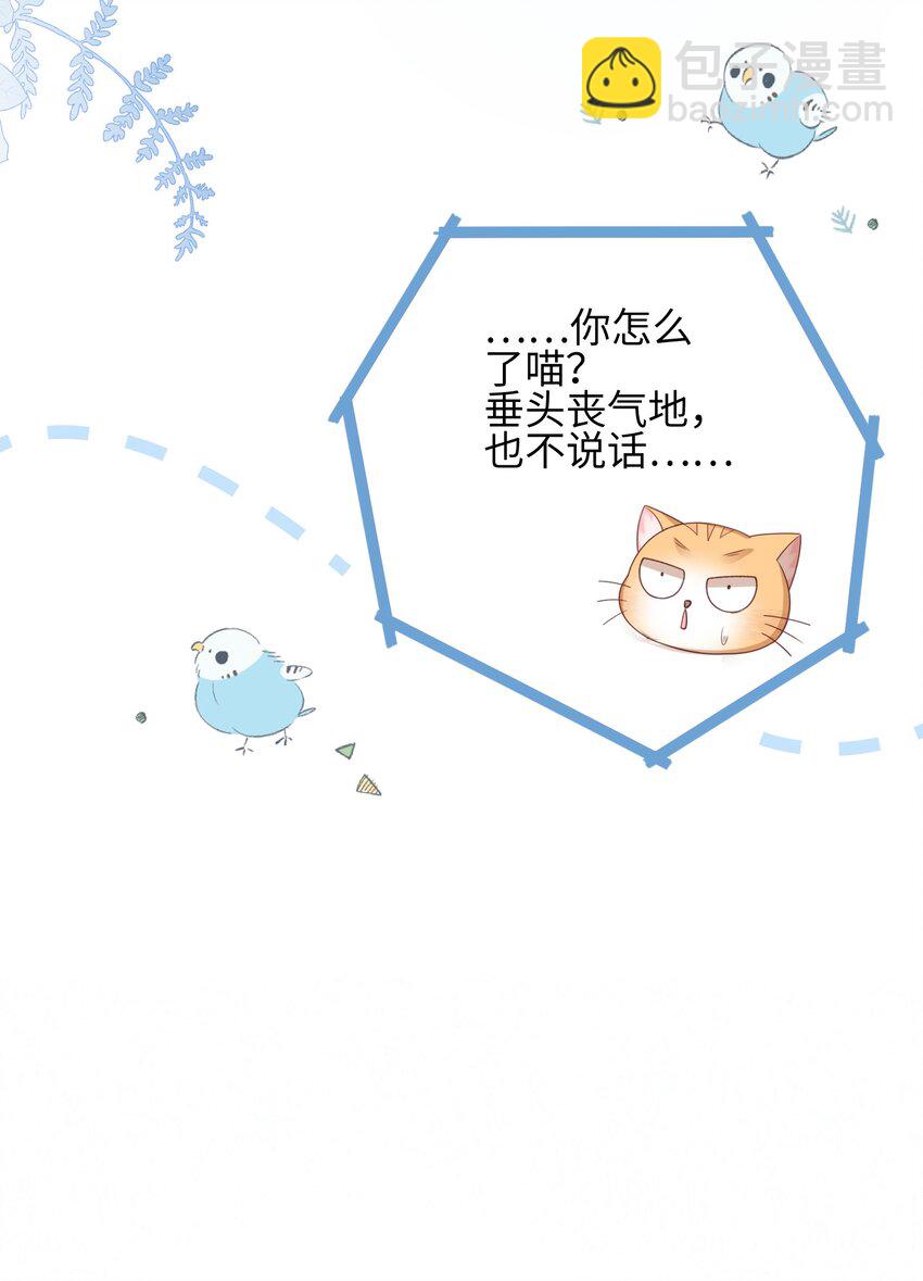 《当温柔的他被迫接了炸毛剧本》019 心动？ 第33页