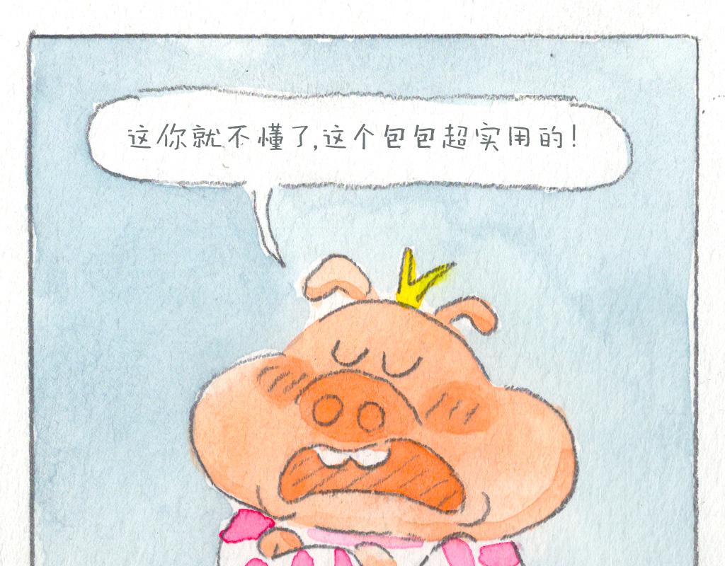 《阿美是只猪》实用的包包 第8页