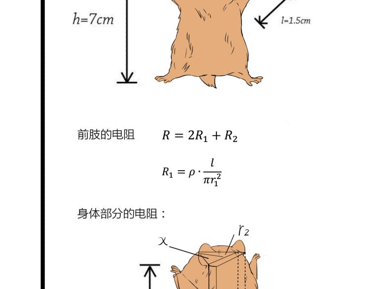 《科学超能方法论》第13话 命悬一线的仓鼠 第35页